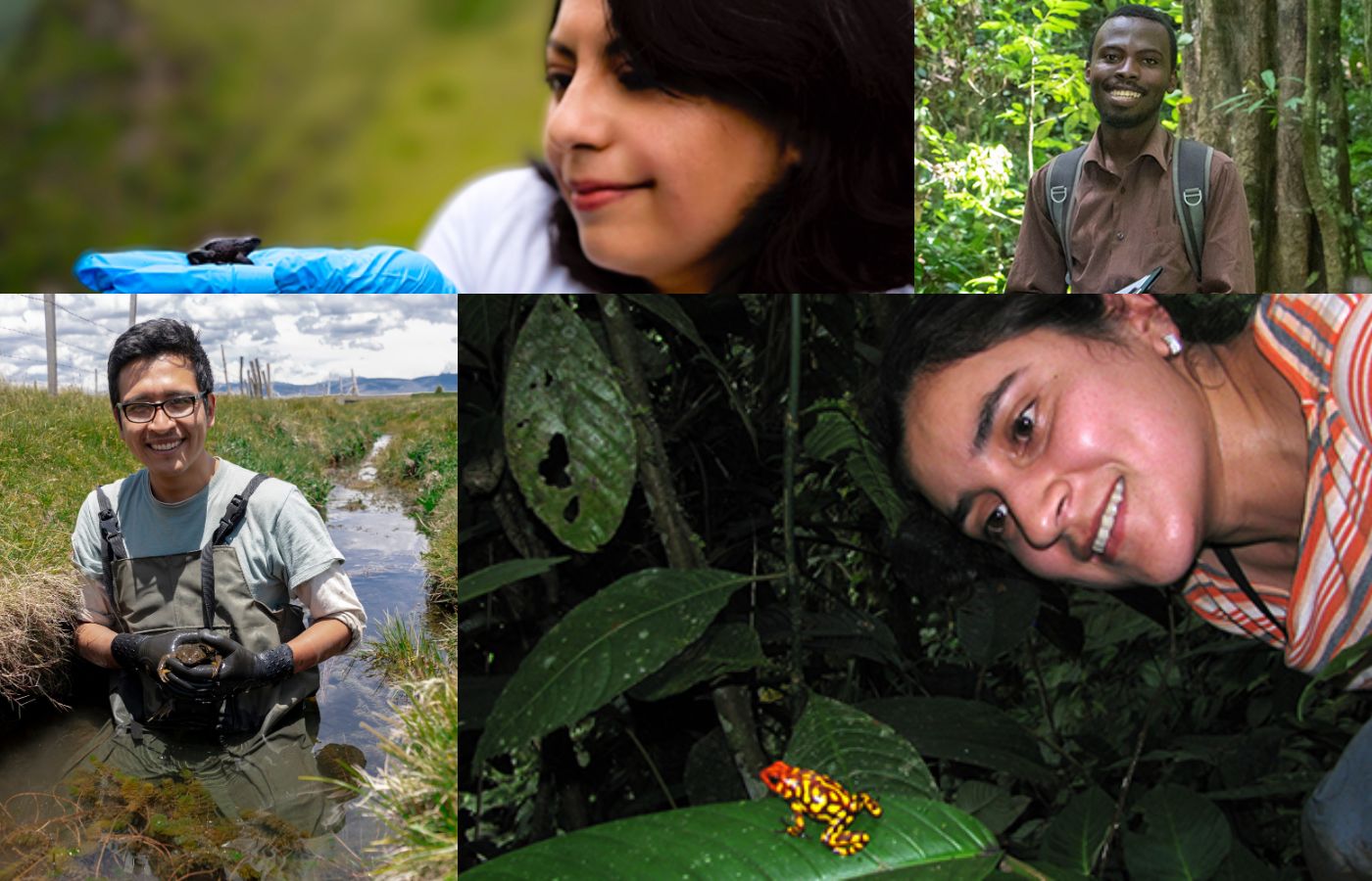 Conservation teams in the field